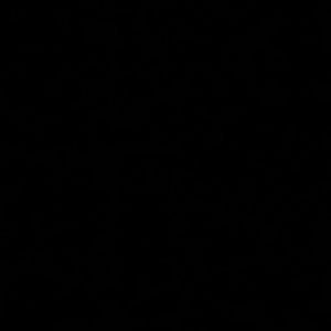 Meet your Posher, Ada